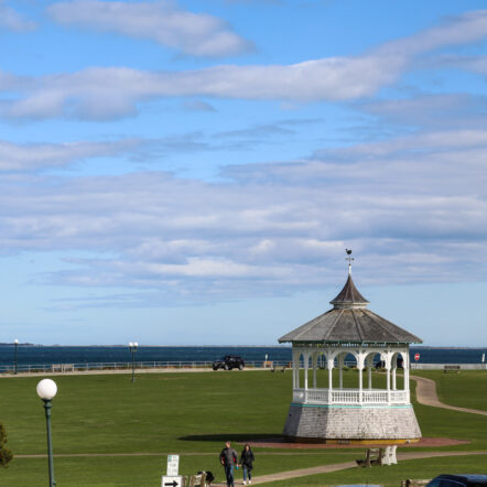Harbor view with clear sky