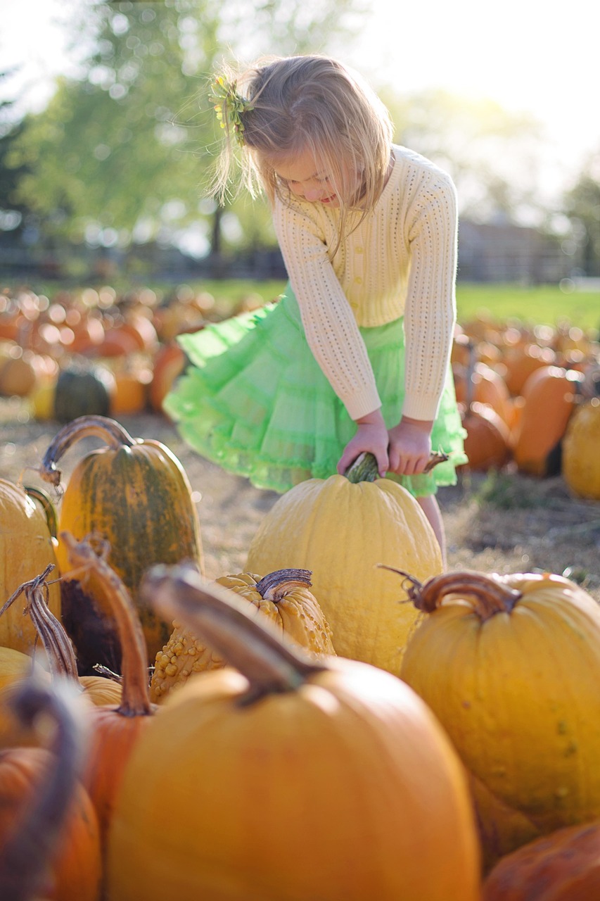 Child picking pumpkins