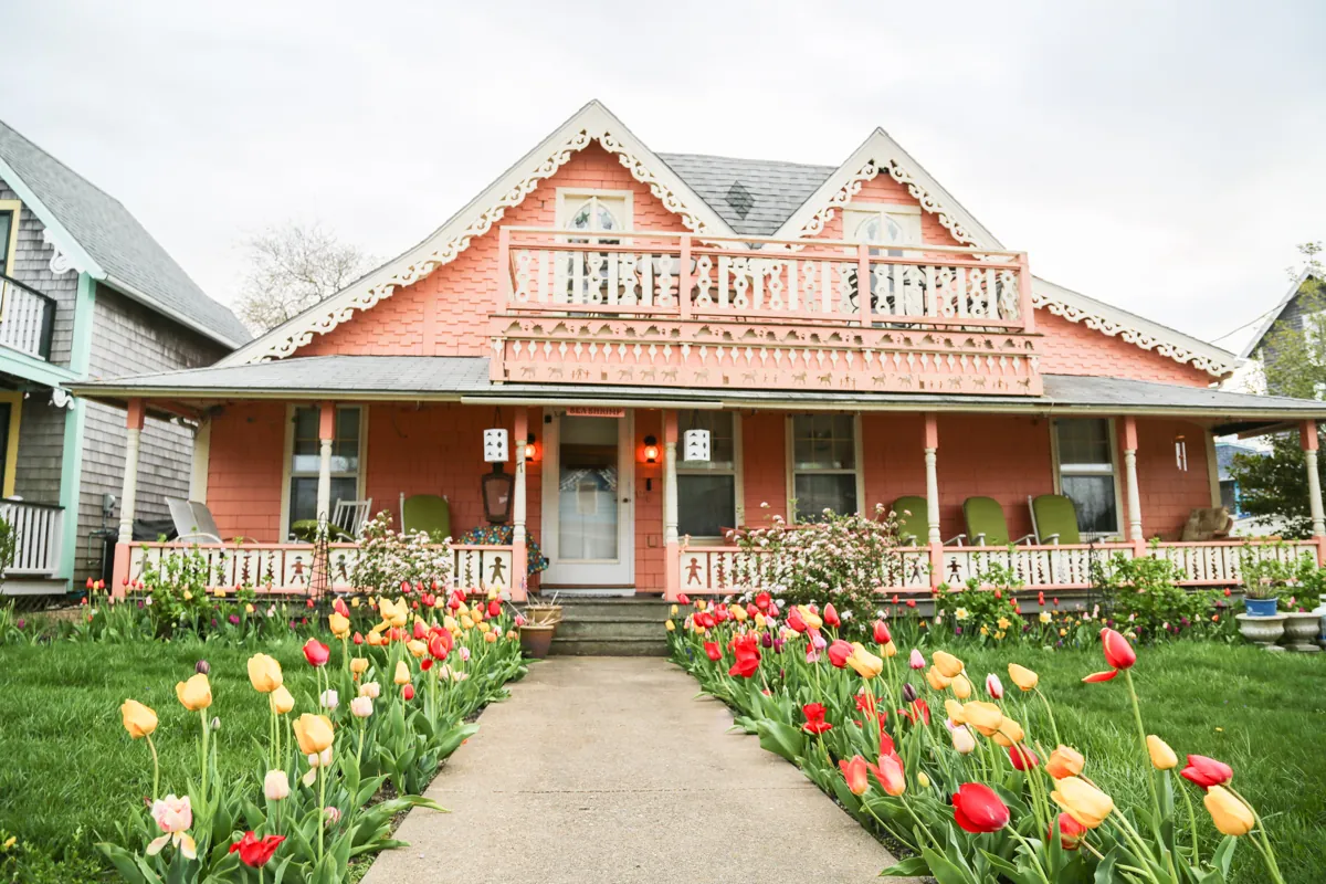 Oak Bluffs Turkey Trot