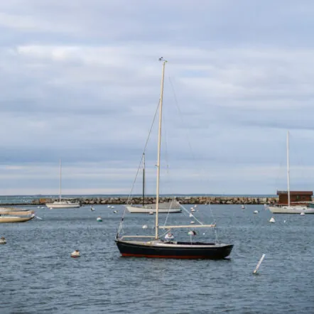Sailboats on the ocean